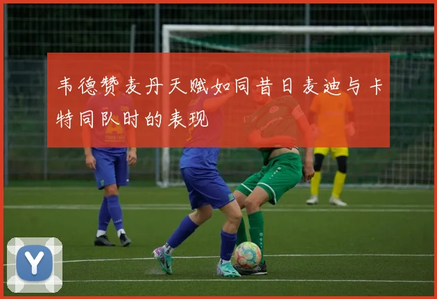 韦德赞麦丹天赋如同昔日麦迪与卡特同队时的表现