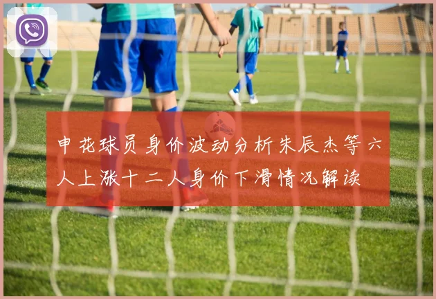 申花球员身价波动分析朱辰杰等六人上涨十二人身价下滑情况解读
